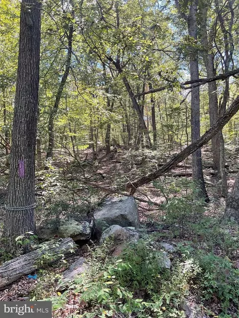 Other - 624 Mountain Lion Ln, Augusta, WV 26704 photo 5 of 21