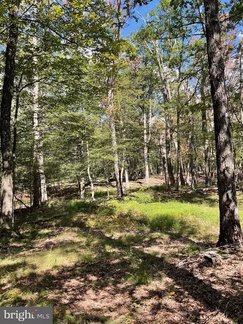 Other - 624 Mountain Lion Ln, Augusta, WV 26704 photo 7 of 21