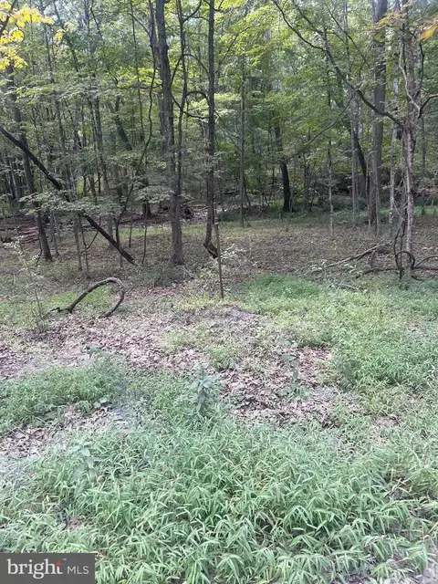 Undisclosed, Bloomery, WV 26817