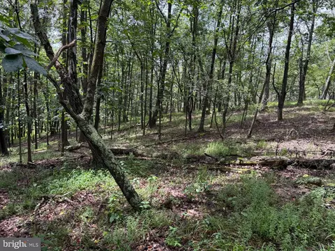 55 75 Ac Aj Kelley Rd, Purgitsville, WV 26852