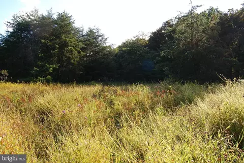 lot60 Buffalo Ridge Rd, Augusta, WV 26704