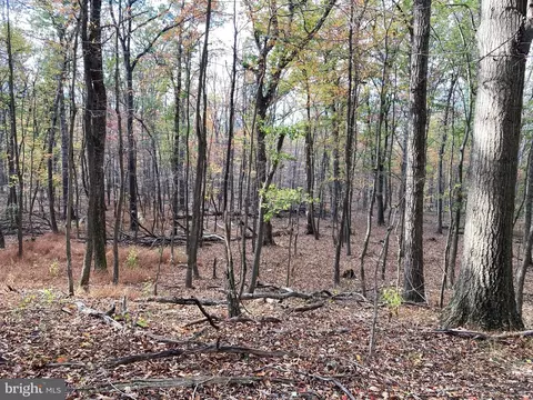 Big Horn Trail, Augusta, WV 26704