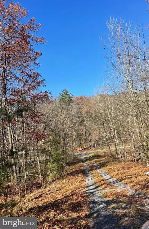 Hannah Court, Yellow Spring, WV 26865