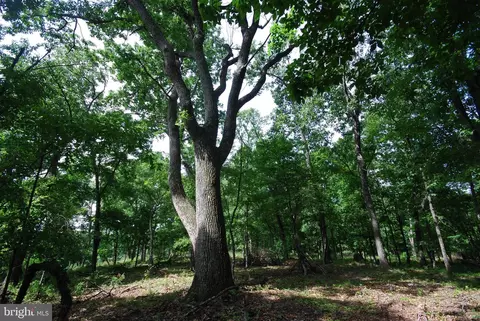 lot70 71 Mill Mountain Rd, Romney, WV 26757