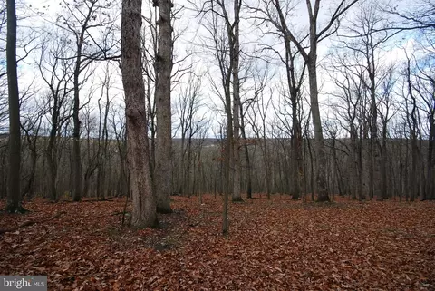 lot70 71 Mill Mountain Rd, Romney, WV 26757