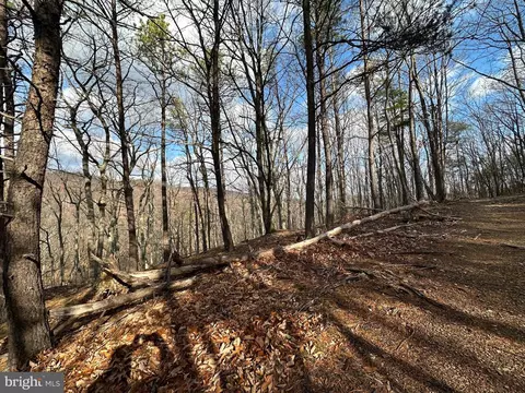 4475 Graces Cabin Rd, Springfield, WV 26763 photo 7