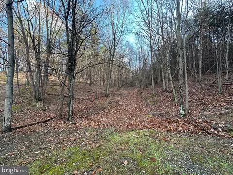 4475 Graces Cabin Rd, Springfield, WV 26763 photo 37
