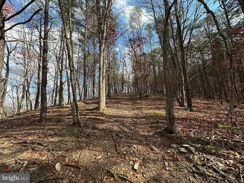 4475 Graces Cabin Rd, Springfield, WV 26763 photo 30