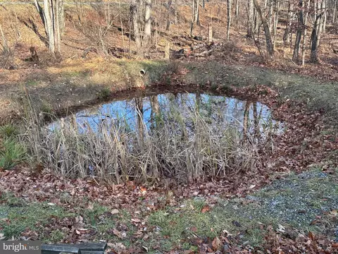 4475 Graces Cabin Rd, Springfield, WV 26763 photo 5