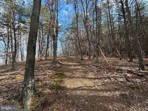 4475 Graces Cabin Rd, Springfield, WV 26763 photo 31