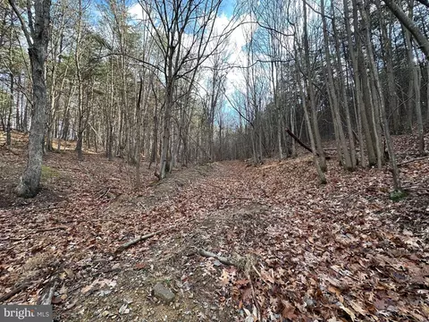 4475 Graces Cabin Rd, Springfield, WV 26763 photo 28