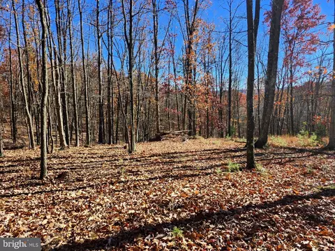 176 Rendezvous Rd, Delray, WV 26714 photo 2
