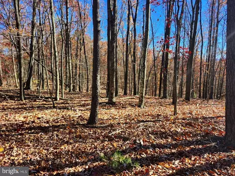 176 Rendezvous Rd, Delray, WV 26714 photo 3