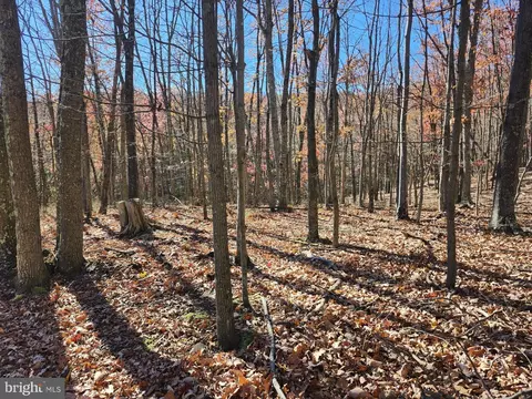 176 Rendezvous Rd, Delray, WV 26714 photo 18