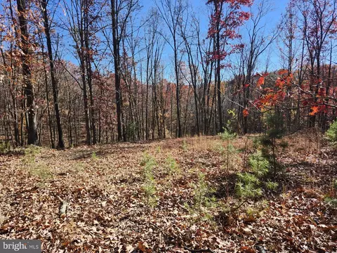 176 Rendezvous Rd, Delray, WV 26714 photo 14