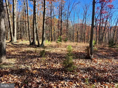 176 Rendezvous Rd, Delray, WV 26714 photo 11