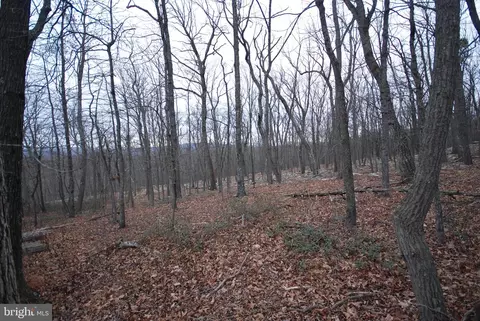 lot88 Wakeman Dr, Augusta, WV 26704