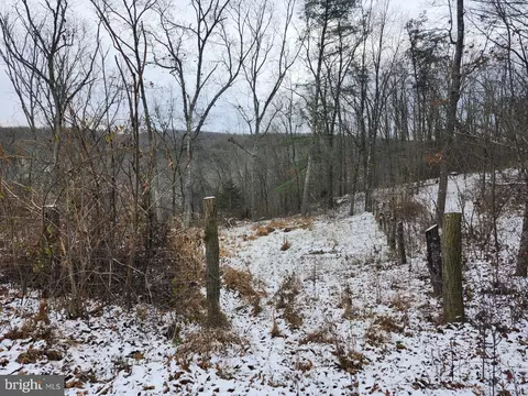 Other - 886 Mountain Heritage Estates Rd, Augusta, WV 26704 photo 44 of 63