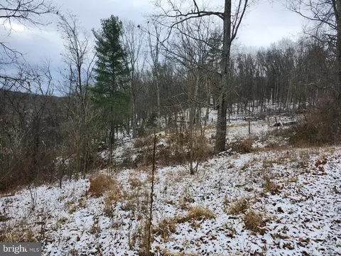 Other - 886 Mountain Heritage Estates Rd, Augusta, WV 26704 photo 54 of 63