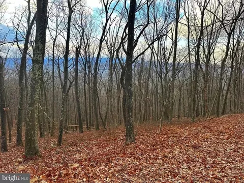 lot14 Sec 8 Lawyer Ln, Slanesville, WV 25444