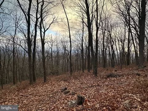 lot24 Sec 10 Lawyer Ln, Slanesville, WV 25444