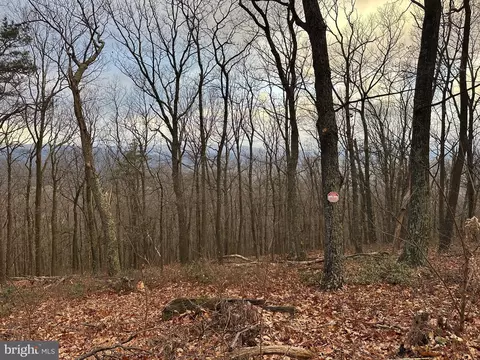 lot24 Sec 10 Lawyer Ln, Slanesville, WV 25444