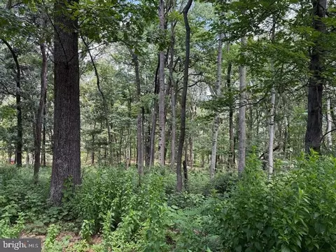 80 Cabin Rd, Augusta, WV 26704 photo 3