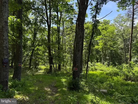 79 Cabin Rd, Augusta, WV 26704