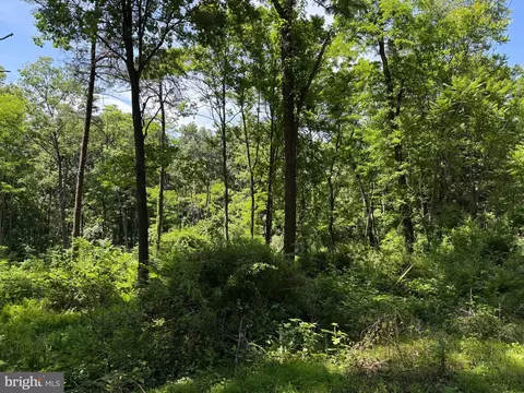 80 Cabin Rd, Augusta, WV 26704 photo 4