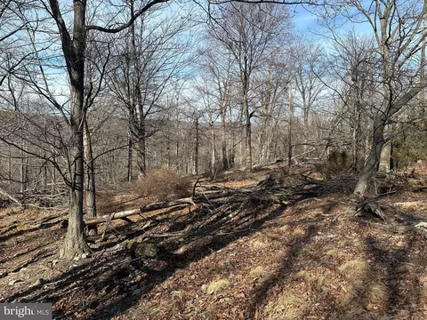 116 River Rdg, Yellow Spring, WV 26865 photo 13