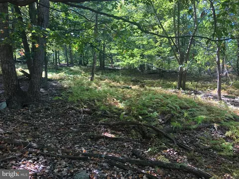 116 River Rdg, Yellow Spring, WV 26865 photo 20