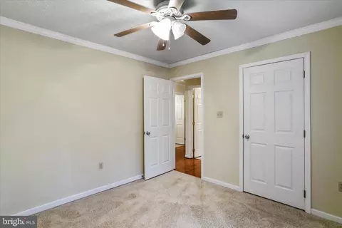 Other - 273 Hickory Ln, Augusta, WV 26704 photo 10 of 20