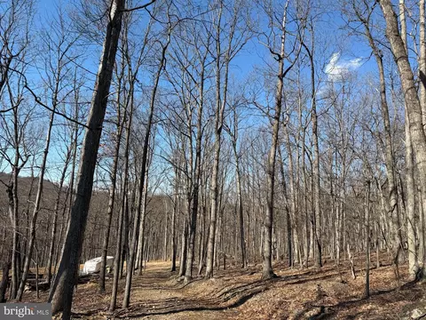 Goldsborough Road, Springfield, WV 26763