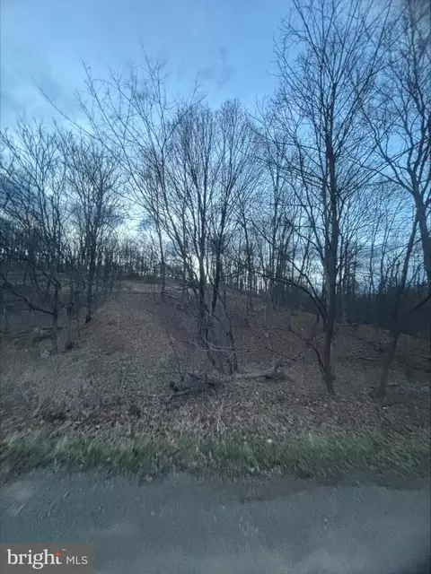 Lost Run, Levels, WV 25431 photo 5
