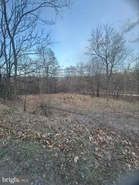 Lost Run, Levels, WV 25431 photo 8