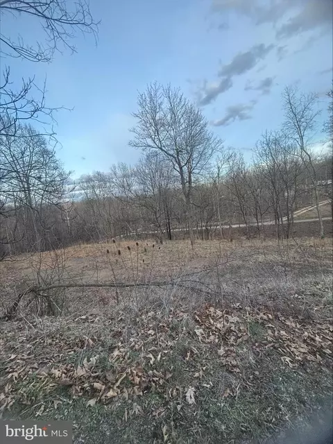 Lost Run, Levels, WV 25431 photo 9