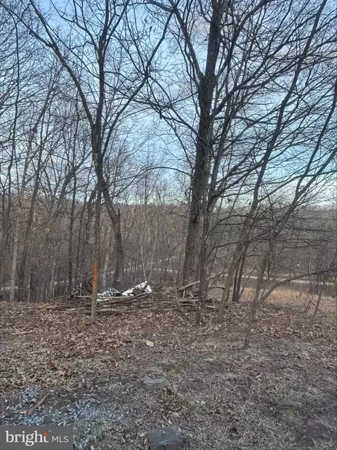 Lost Run, Levels, WV 25431 photo 7