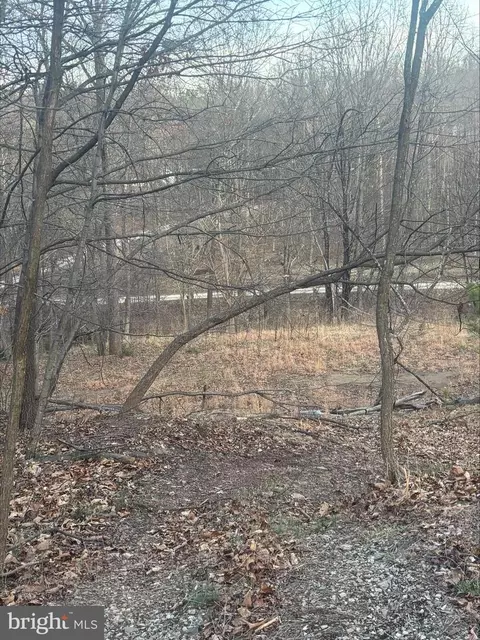 Lost Run, Levels, WV 25431 photo 6