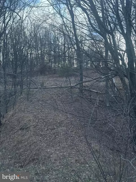 Lost Run, Levels, WV 25431 photo 4