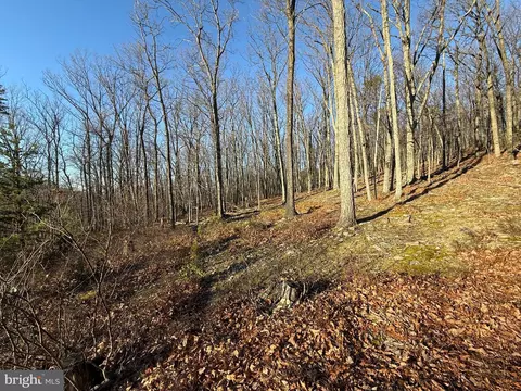 37 Advent Dr, Augusta, WV 26704 photo 42
