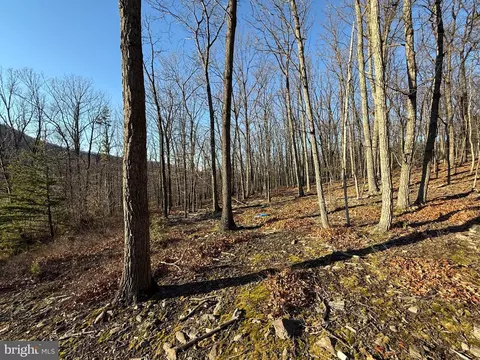 37 Advent Dr, Augusta, WV 26704 photo 40