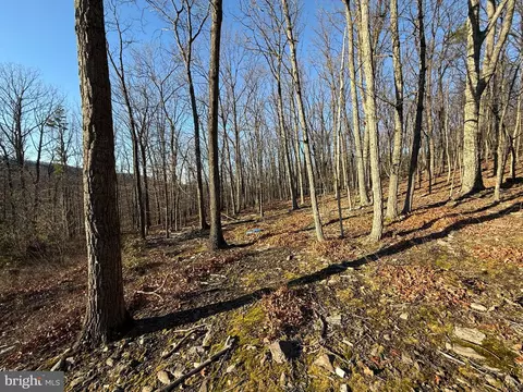 37 Advent Dr, Augusta, WV 26704 photo 41