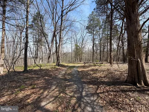 217 Trapper Ln, Augusta, WV 26704 photo 69