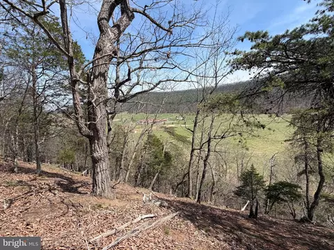 217 Trapper Ln, Augusta, WV 26704 photo 75