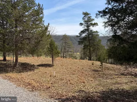 217 Trapper Ln, Augusta, WV 26704 photo 85