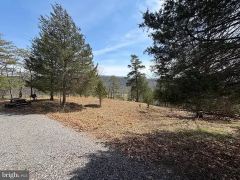217 Trapper Ln, Augusta, WV 26704 photo 84