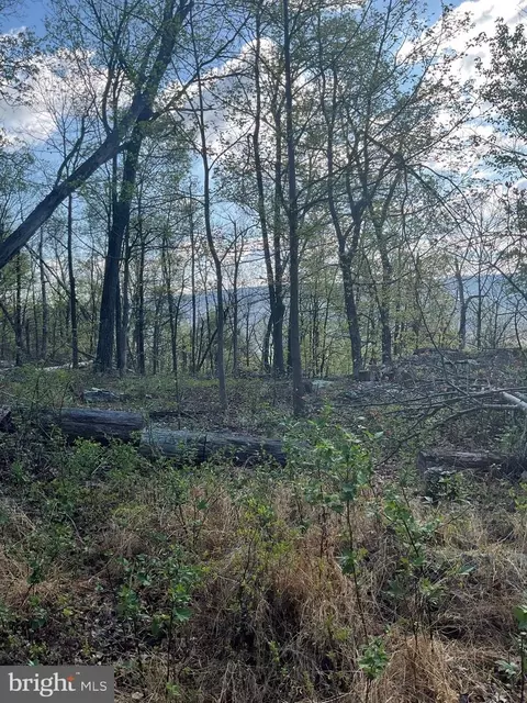 lot44 A Mountain Top Rd, Paw Paw, WV 25434