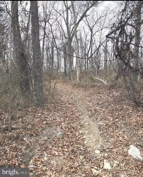 274 Dehaven Dr, Capon Bridge, WV 26711