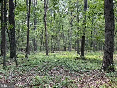 lot11 Rock Creek Trl, Augusta, WV 26704