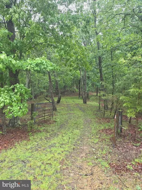 lot37 Bobcat Holw, Romney, WV 26757